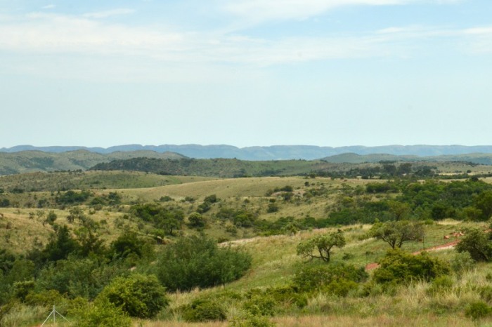 Rolling hills in the Cradle of Humankind