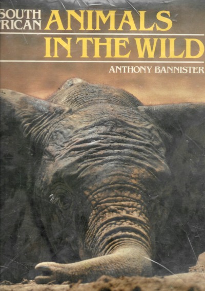 Cover of South African Animals in the Wild