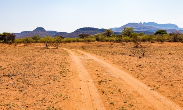 Road in Marakele National Park