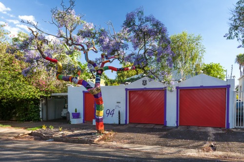 Decorated tree in Melville suburb