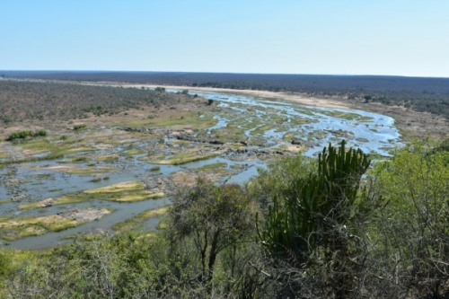 View from Olifants Camp