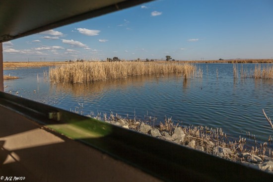 View from one of the hides