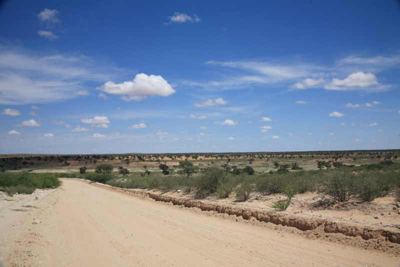 Kgalagadi Transfrontier Park