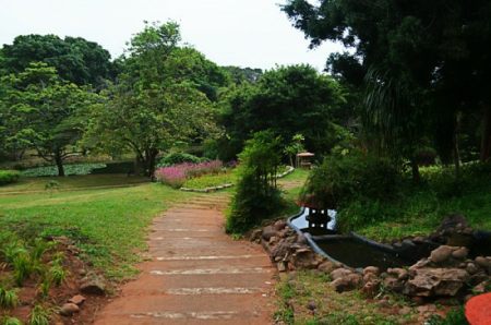 The dam in the middle of Durban Japanese Gardens