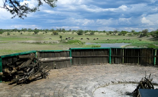 View from the boma at Botsalano Game Reserve