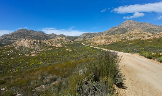 On top of Swartberg Pass