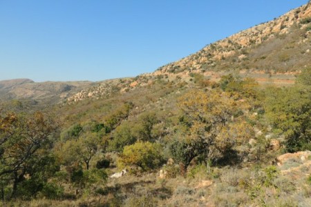 Kgaswane Mountain Reserve features beautiful scenery