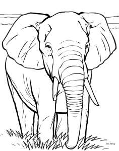 Colouring in picture of a rather big elephant