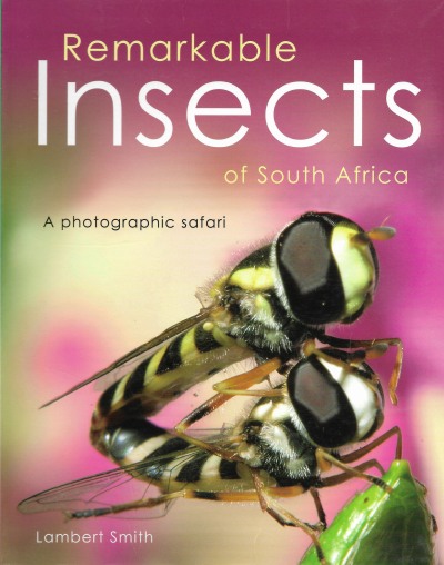 Cover of Remarkable Insects of South Africa - A photographic safari