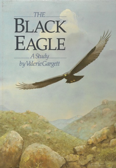 Cover of The Black Eagle - A study