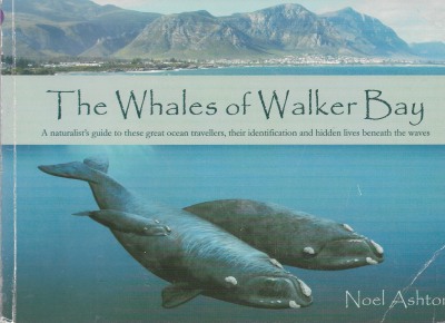 Cover of The Whales of Walker Bay