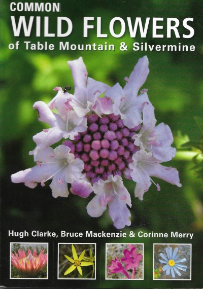 Cover of Common Wild Flowers of Table Mountain and Silvermine