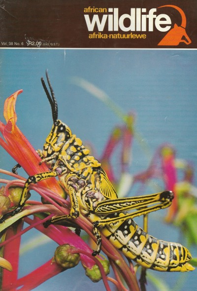 Cover of African Wildlife - Vol 38 No 6 - 1984
