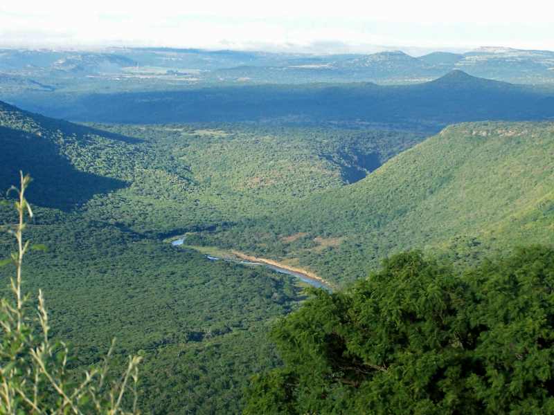 Weenen Game Reserve - bushveld covers the hills