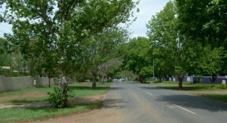 Tree-lined streets in the town of Winterton in KwaZulu-Natal