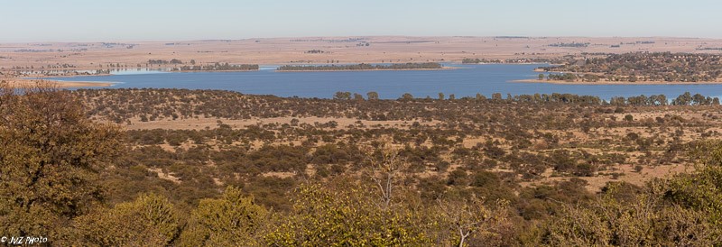 View of the reserve