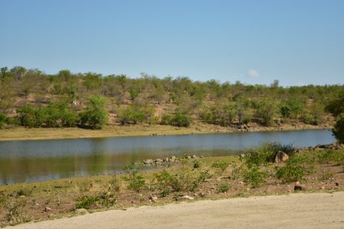 Bushveld surrounds the Nhlanganini dam