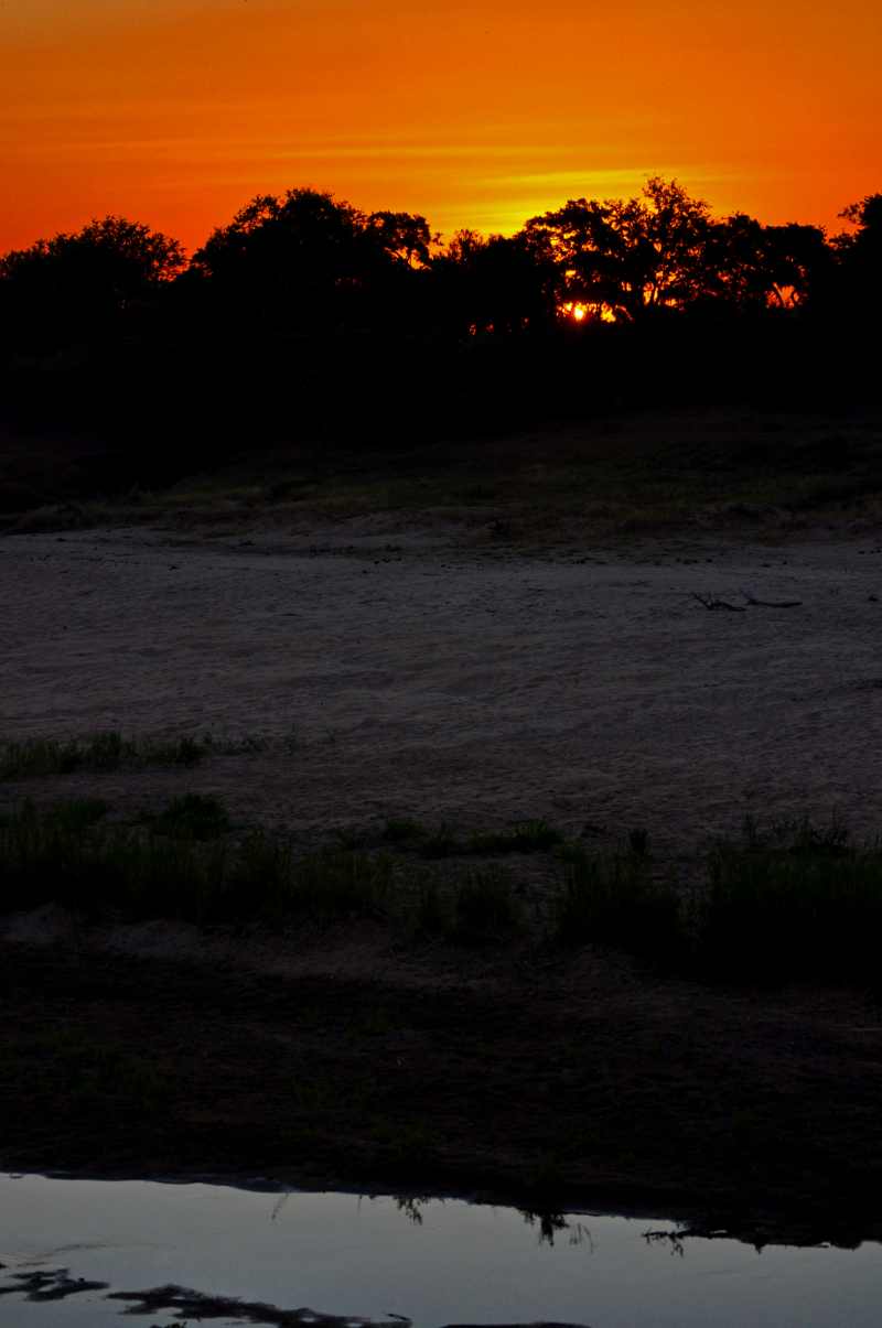 A magnificent Kruger National Park sunset