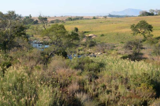Komati River looking downstream from R38