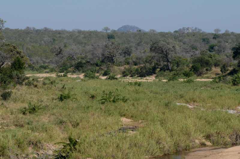 Biyamiti River in Kruger National Park