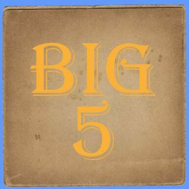 Find out more about the Big 5 in South Africa