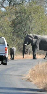 Kruger National Park