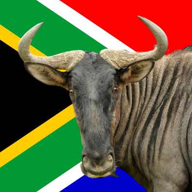 BlueGnu - all about South Africa - towns, places of interest, animals and plants